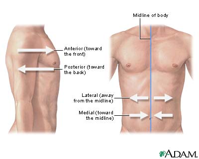 Lateral orientation